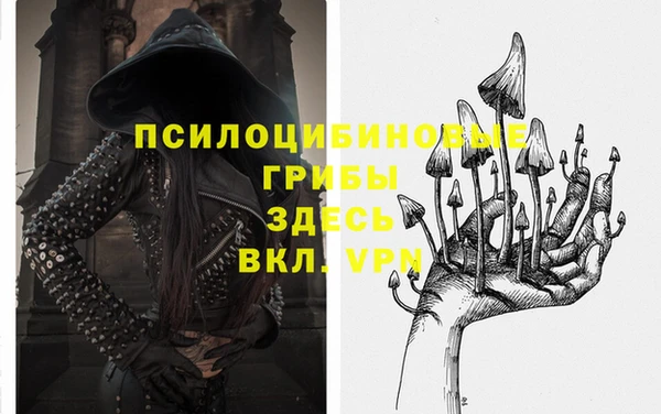 бутират Алзамай