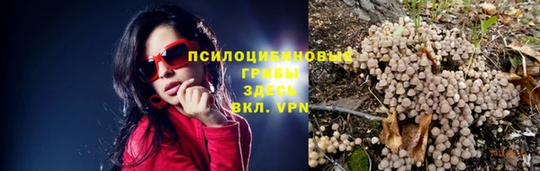 таблы Алексин