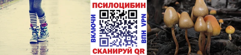 хочу   Арамиль  Галлюциногенные грибы мухоморы 